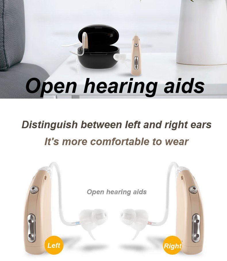 BTE Behind-The-Ear Hearing Aid with USB Charging Base A-318
