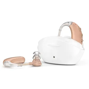 Behind-the-Ear Hearing Aids Sound Amplifier SJ-301