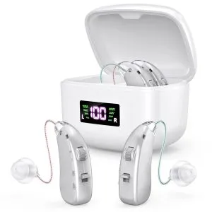 Audífonos Retroauriculares Digitales BTE Recargables ZF-M802 Plata