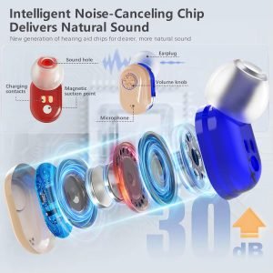 Mini In-The-Ear Hearing Aids with HD Digital Display Z-127D