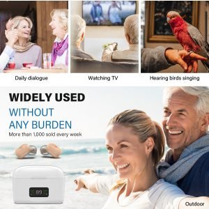 Mini In-The-Ear Hearing Aids with HD Digital Display Z-127D