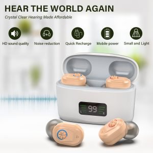 Mini In-The-Ear Hearing Aids with HD Digital Display Z-127D
